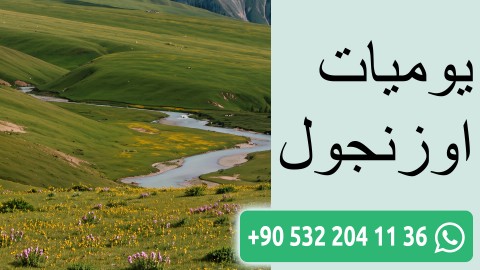 يوميات اوزنجول